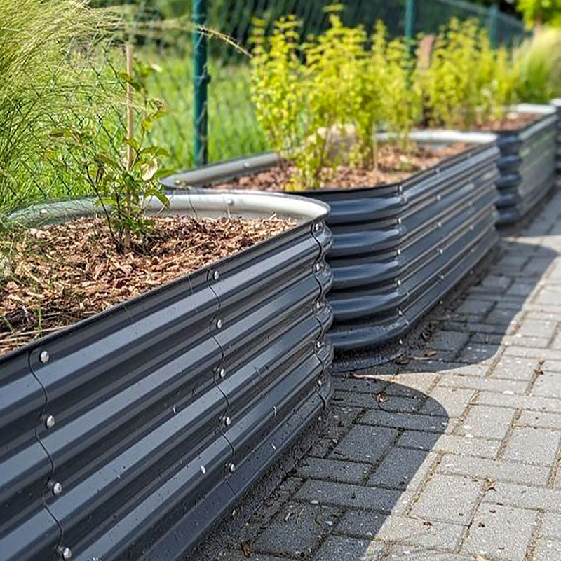 Graue Metallhochbeete in einer Reihe entlang eines Gartenzauns, bepflanzt mit jungen Sträuchern und Mulchabdeckung. 
