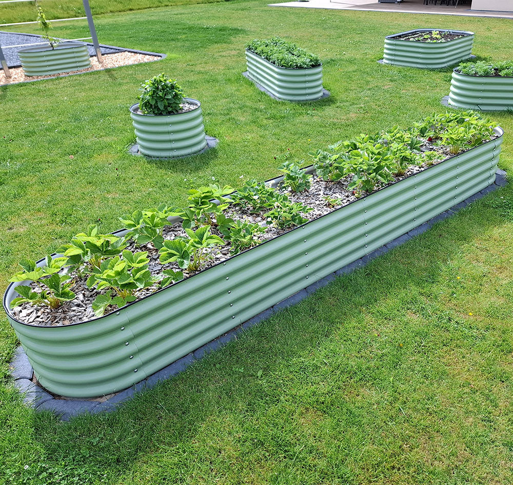 Verlängertes Hochbeet in länglicher Variante in Salbeigrün. Das Hochbeet ist 342 cm lang und vollständig mit Erdbeeren bepflanzt.